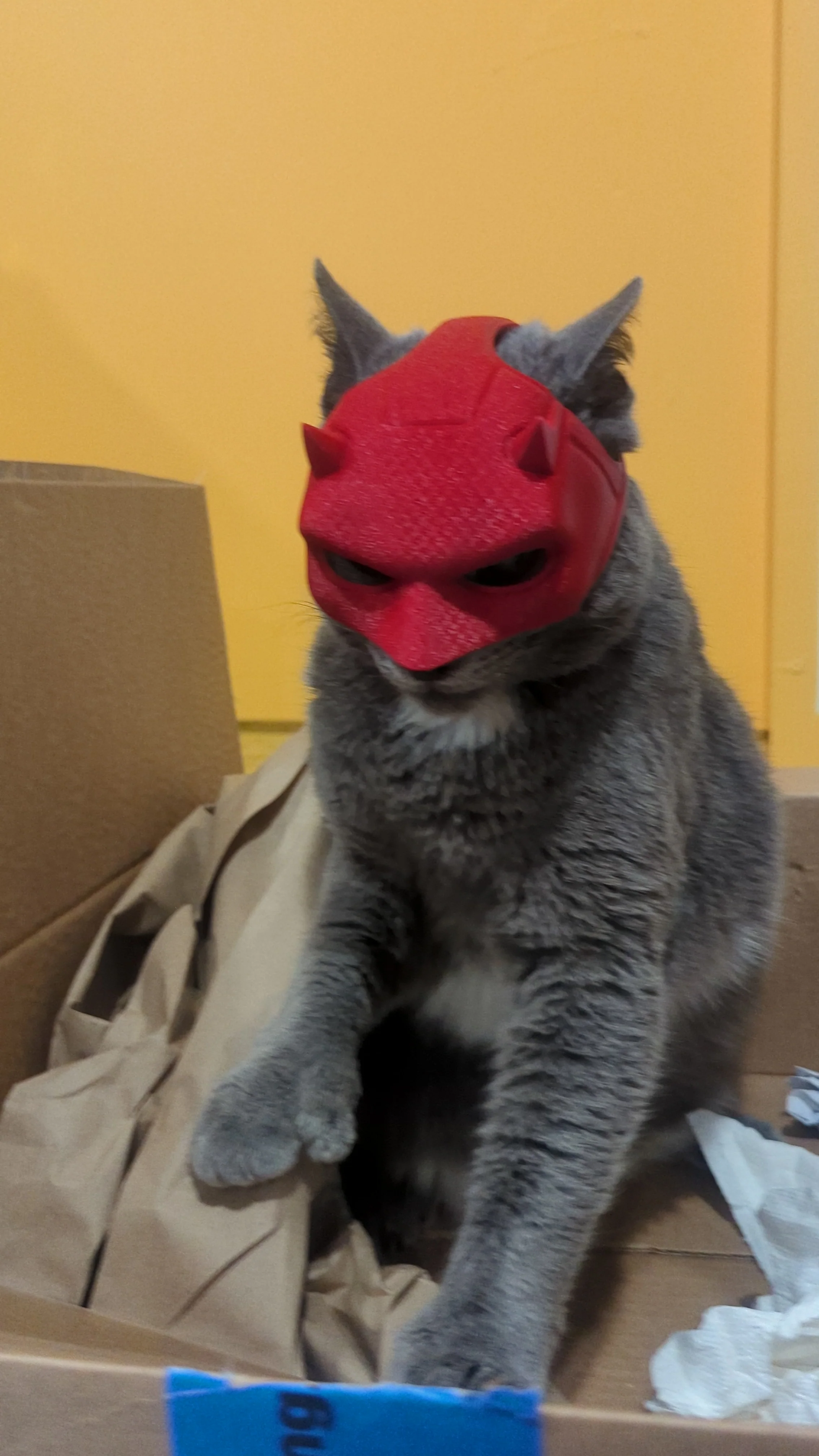 3d Printed Daredevil Cat Mask