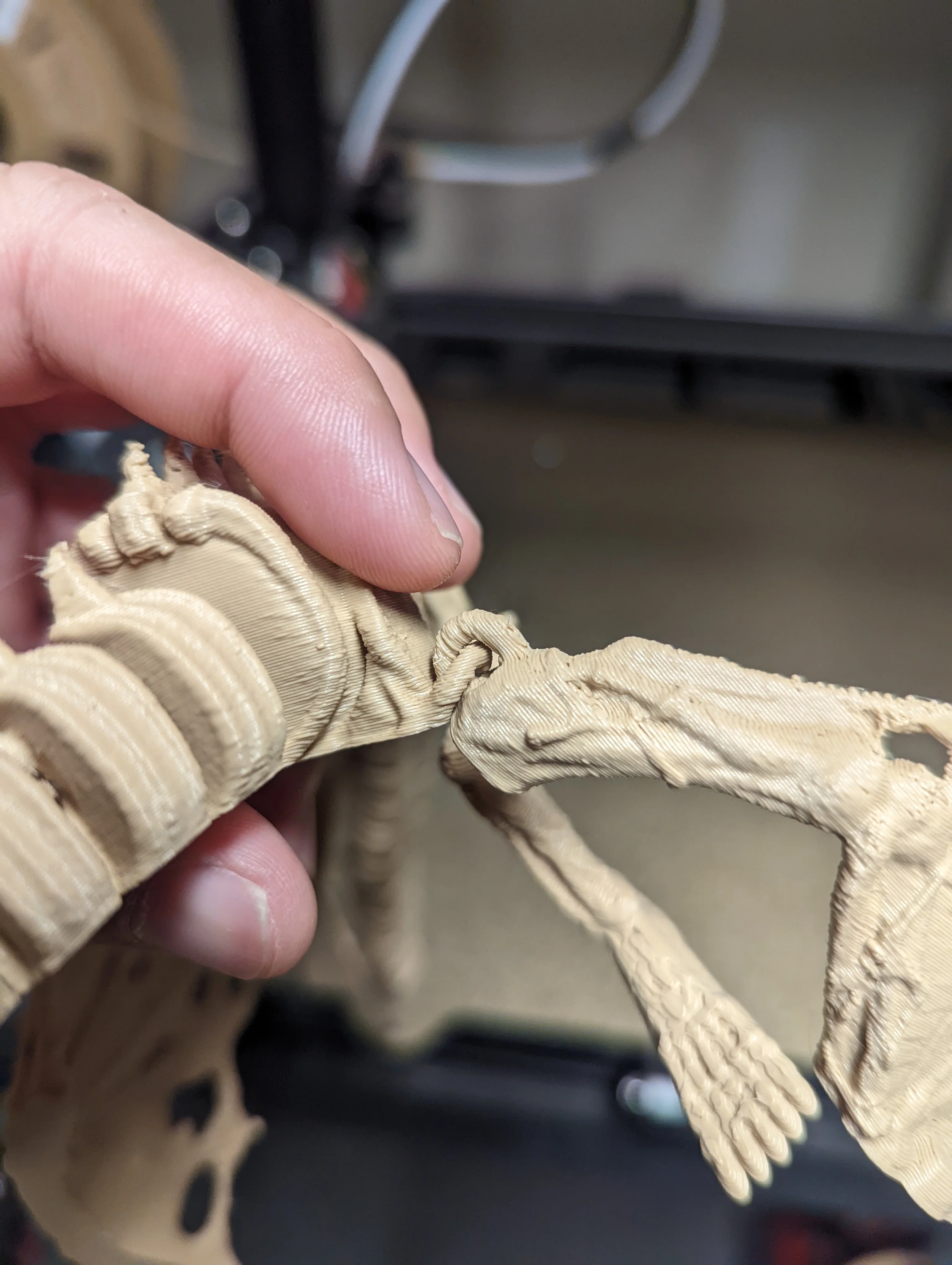 Flexi Bone Dragon - Image 3